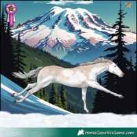 Horse Color:White Spotted Red Dun Mushroom Splash Rabicano 