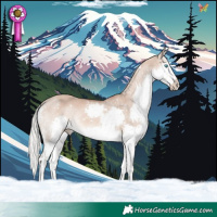 Horse Color:White Spotted Red Dun Mushroom Splash Rabicano 