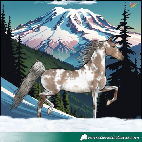 Horse Color:White Spotted Liver Red Dun Mushroom Rabicano 