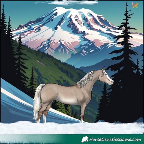 Horse Color:Liver Red Dun Mushroom Splash Rabicano 