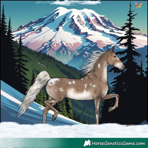 Horse Color:White Spotted Liver Red Dun Mushroom Rabicano Brindle 
