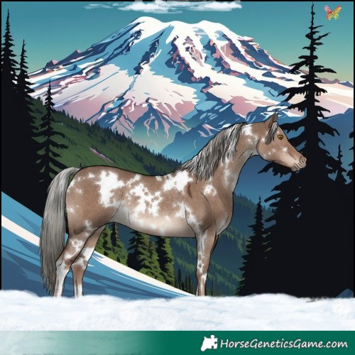 Horse Color:White Spotted Liver Red Dun Mushroom Rabicano 