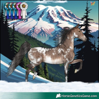 Horse Color:White Spotted Brown Dun Mushroom Rabicano Brindle 