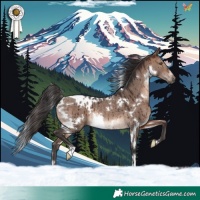 Horse Color:White Spotted Brown Dun Mushroom Rabicano Brindle 