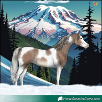 Horse Color:Liver Red Dun Mushroom Splash Tobiano Rabicano 