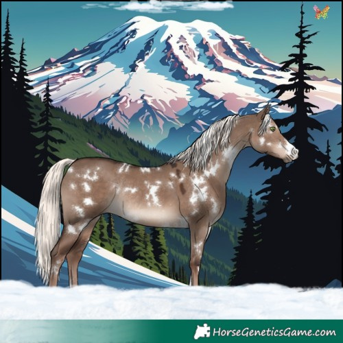 Horse Color:White Spotted Liver Red Dun Mushroom Rabicano 