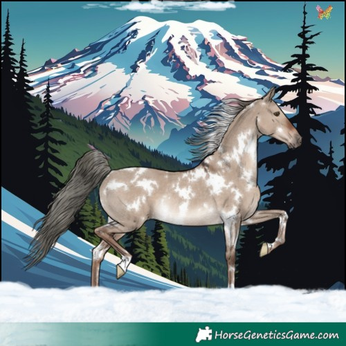Horse Color:White Spotted Liver Red Dun Mushroom Rabicano 