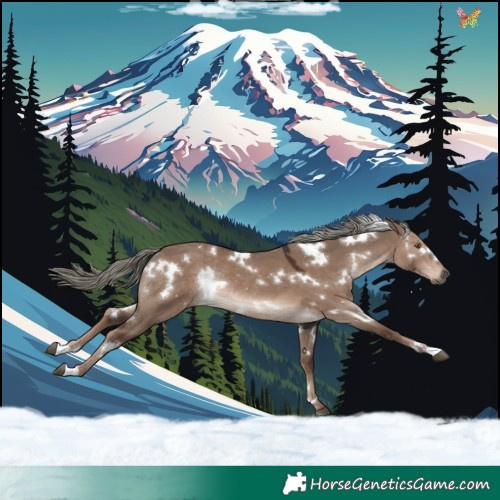 Horse Color:White Spotted Liver Red Dun Mushroom Rabicano 