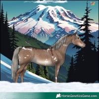 Horse Color:White Spotted Liver Red Dun Mushroom Rabicano
