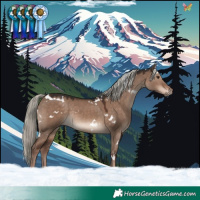 Horse Color:White Spotted Liver Red Dun Mushroom Rabicano 