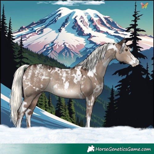 Horse Color:Powder White White Spotted Liver Red Dun Mushroom Rabicano 