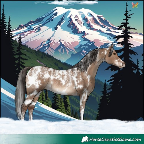 Horse Color:Powder White White Spotted Liver Red Dun Rabicano 