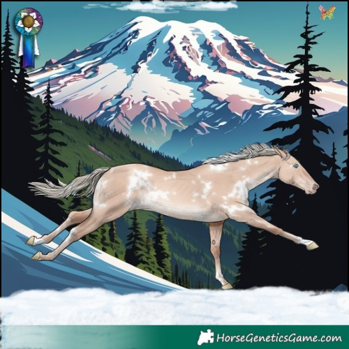 Horse Color:White Spotted Gold Champagne Dun Mushroom Rabicano 