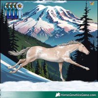Horse Color:White Spotted Gold Champagne Dun Mushroom Rabicano