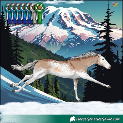 Horse Color:White Spotted Red Dun Mushroom Rabicano 