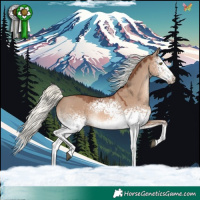 Horse Color:White Spotted Red Dun Mushroom Rabicano 