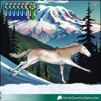 Horse Color:White Spotted Red Dun Mushroom Rabicano 