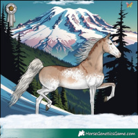 Horse Color:White Spotted Red Dun Mushroom Rabicano 