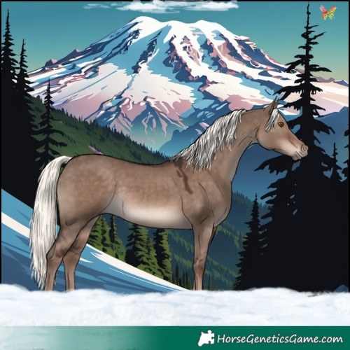 Horse Color:Liver Red Dun Mushroom Rabicano 