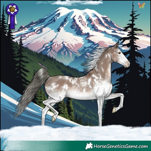 Horse Color:White Spotted Liver Red Dun Mushroom Rabicano 