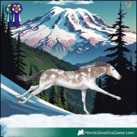 Horse Color:White Spotted Liver Red Dun Mushroom Rabicano 