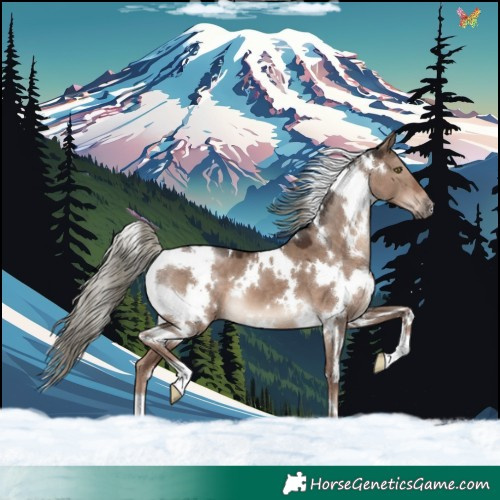 Horse Color:White Spotted Liver Red Dun Mushroom 