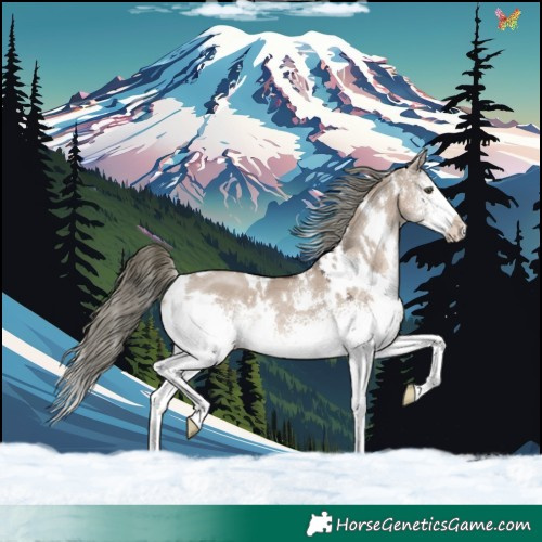 Horse Color:White Spotted Liver Red Dun Mushroom 