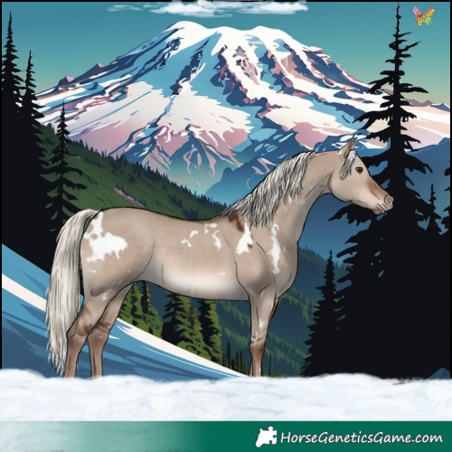 Horse Color:White Spotted Liver Red Dun Mushroom Rabicano 