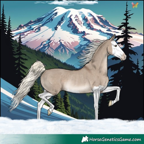 Horse Color:Liver Red Dun Mushroom Splash Rabicano 