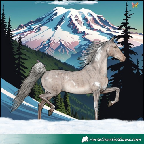 Horse Color:White Spotted Liver Red Dun Mushroom Varnish Rabicano Brindle 