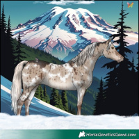 Horse Color:White Spotted Liver Red Dun Mushroom Rabicano Brindle 