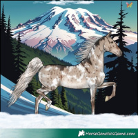 Horse Color:White Spotted Liver Red Dun Mushroom Rabicano Brindle