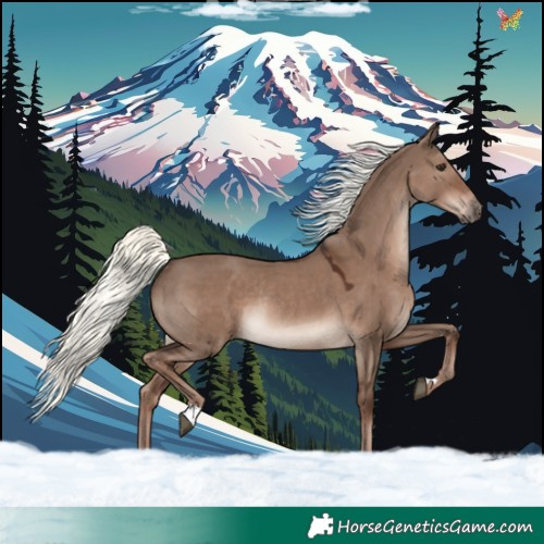 Horse Color:Liver Red Dun Mushroom Rabicano 