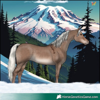 Horse Color:Liver Red Dun Mushroom Rabicano 