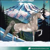 Horse Color:White Spotted Liver Red Dun Mushroom Splash Appaloosa Rabicano