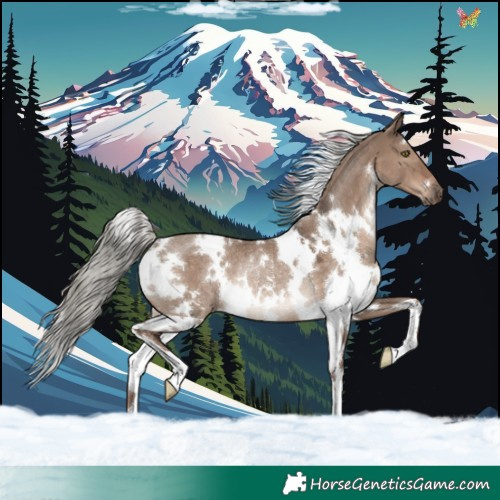 Horse Color:White Spotted Liver Red Dun Mushroom Rabicano 
