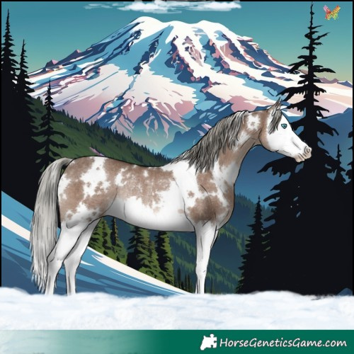Horse Color:White Spotted Liver Red Dun Mushroom Splash Rabicano 