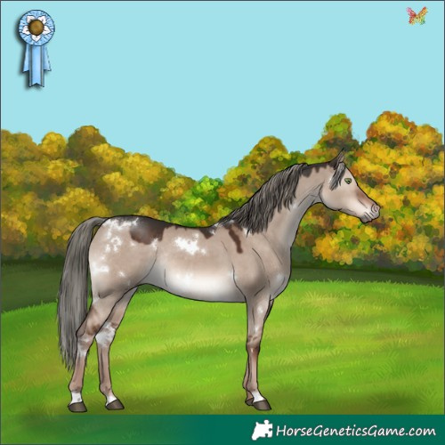 Horse Color:White Spotted Liver Red Dun Mushroom Rabicano 