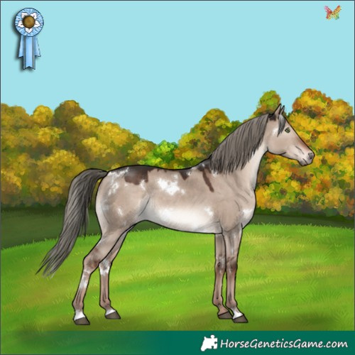 Horse Color:White Spotted Liver Red Dun Mushroom Rabicano