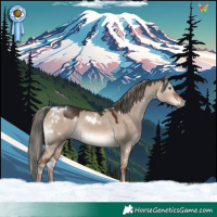 Horse Color:White Spotted Liver Red Dun Mushroom Rabicano 