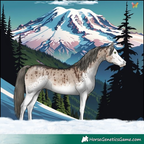 Horse Color:White Spotted Liver Red Dun Mushroom Rabicano Brindle 