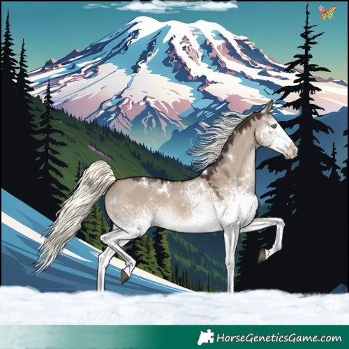 Horse Color:White Spotted Liver Red Dun Mushroom Rabicano 