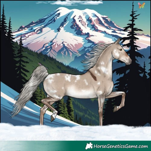 Horse Color:White Spotted Liver Red Dun Mushroom Rabicano 
