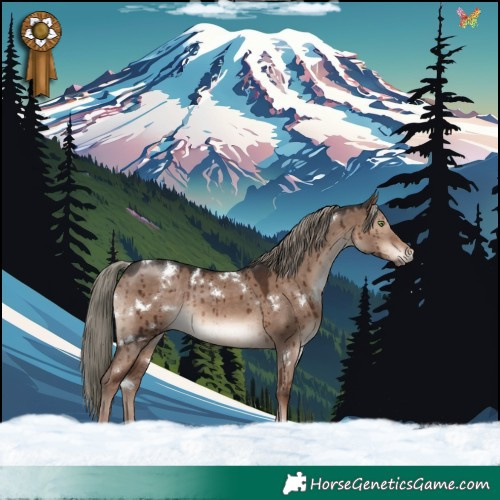 Horse Color:White Spotted Liver Red Dun Mushroom Rabicano Brindle 