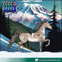 Horse Color:White Spotted Liver Red Dun Mushroom Rabicano Brindle