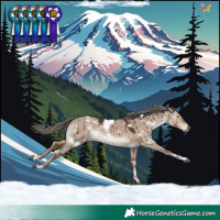 Horse Color:White Spotted Liver Red Dun Mushroom Rabicano Brindle