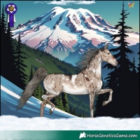 Horse Color:White Spotted Liver Red Dun Mushroom Rabicano Brindle 
