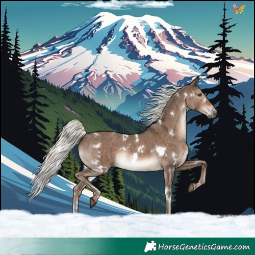 Horse Color:White Spotted Liver Red Dun Mushroom Rabicano Brindle 