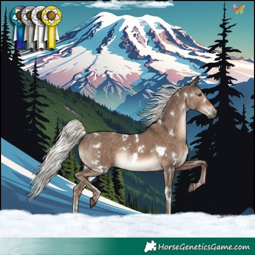 Horse Color:White Spotted Liver Red Dun Mushroom Rabicano Brindle 