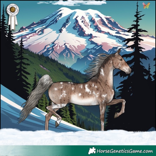 Horse Color:White Spotted Liver Red Dun Mushroom Rabicano Brindle